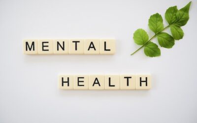 Therapy in Palm Beach County, FL – Compassionate Mental Health Support Near You